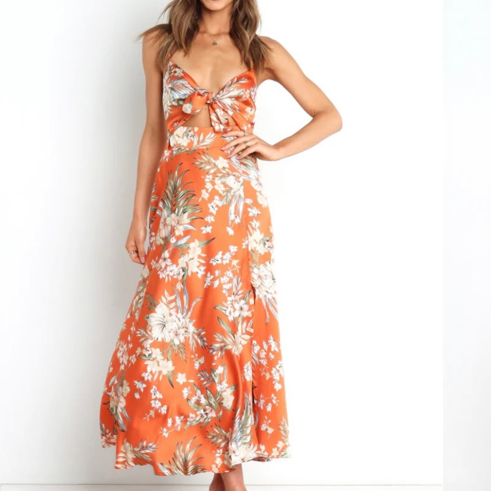 Petal & Pup Whitmore Dress